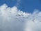 beautiful storks flying in group disoriented aimless group