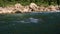 Beautiful stormy mountain river of bluish hue in gorge among large stones.