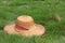 Beautiful straw hat