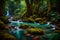 Beautiful stream painting in a tropical forest