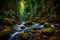 Beautiful stream painting in a tropical forest.