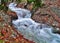 Beautiful  stream water flow in autumn