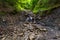 Beautiful streams and small waterfalls on the Eibsee