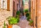 Beautiful street alley in mediterranean village on Majorca Spain
