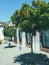 beautiful street with orange trees.  Spanish street