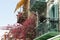 Beautiful street scene at historic Nafplio city, Greece Flowers and balconies
