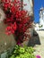 Beautiful Streets of Obidos Portugal