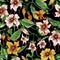 Beautiful strophanthus flowers on climbing twigs on black background. Seamless floral pattern. Watercolor painting. Hand painted