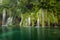 The beautiful and stunning Plitvice Lake National Park, Croatia, wide shot of a waterfall