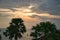 Beautiful stunning scenic panoramic view of the golden sky and reflections on the Andaman sea with palm trees during the sunset at