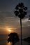 Beautiful stunning scenic panoramic view of the golden sky and reflections on the Andaman sea with palm trees during the sunset at