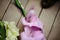 beautiful stylish bouquet of colorful gladioli and cat paw on wooden background