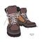 Beautiful stylish leather boots. Vector illustration