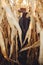 Beautiful stylish woman in brown hat and vintage coat hiding in autumn maize field in sunset light. Fashionable young hipster