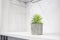 Beautiful succulent houseplant in trendy concrete geometric pot