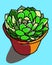 Beautiful succulent plant in pot illustration on blue background illustration