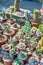 Beautiful succulent plants in pots