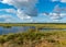 Beautiful summer bog landscape with lake, moss, bog pines and birches, peat bog flora