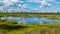 Beautiful summer bog landscape with lake, moss, bog pines and birches, peat bog flora