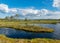 Beautiful summer bog landscape with lake, moss, bog pines and birches, peat bog flora