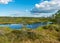 Beautiful summer bog landscape with lake, moss, bog pines and birches, peat bog flora