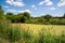 Beautiful summer countryside landscape with river overgrown with duckweed