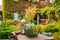 beautiful summer courtyard. wooden table with retro items.