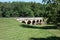 On a beautiful summer day, hikers pause on the Monocacy River Aqueduct on the C and O Canal Towpath