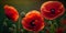 Beautiful summer day. Red poppy flowers macro, close-up view. Ai Generative