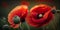 Beautiful summer day. Red poppy flowers macro, close-up view. Ai Generative