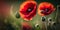 Beautiful summer day. Red poppy flowers macro, close-up view. Ai Generative