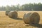 Beautiful Summer Farm Scenery with Haystacks. Agriculture Concept.