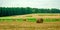 Beautiful Summer Farm Scenery with Haystacks. Field Landscape with Rolls and Sky