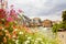 Beautiful summer flowers over European city view