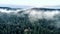 Beautiful summer forest covered in fog early in the morning. Forest landscape with thick mist from above. Aerial shot of summer