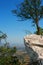 Beautiful summer landscape with a bizarre tree on a rocky cliff, sunny summer day, bright blue sky, spreading below field