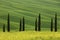 Beautiful summer landscape with cypress trees in Tuscany