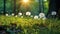 a beautiful summer landscape with dandelions and grass in a forest glade at sunset, sunlight and beautiful nature