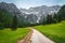 Beautiful summer landscape with flowery fields and snowy mountains, Slovenia