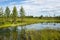 Beautiful summer landscape with forest, lake and swamp