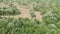 Beautiful summer landscape. Green fields and trees. Steep sandy road. Aerial shot.