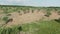 Beautiful summer landscape. Green fields and trees. Steep sandy road. Aerial shot.