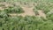 Beautiful summer landscape. Green fields and trees. Steep sandy road. Aerial shot.