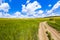 Beautiful summer landscape with green grass, dirt gravel road and white clouds.