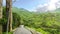 Beautiful summer landscape green tree mountain transport road wi