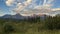 Beautiful summer landscape with green vegetation and mountains. Golden, BC, Canada.