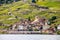 Beautiful Summer landscape of Lake Geneva, Lavaux vineyard terraces and Alps with trains going by, Swiss Riviera, Switzerland