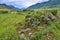 Beautiful summer landscape in the mountain valley with scattered