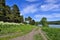 Beautiful summer landscape near the forest and lake