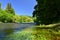 Beautiful summer landscape with river, forest, sun and blue skies. Natural colorful background. Jihlava River, Czech Republic -